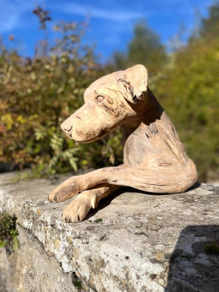 Chien assis, par Bétina Broussaud