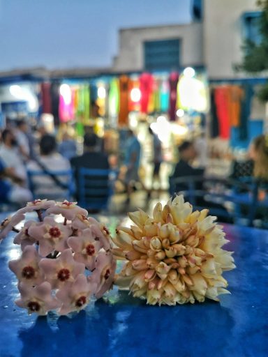 le célèbre machmoum de Sidi Bou Saïd