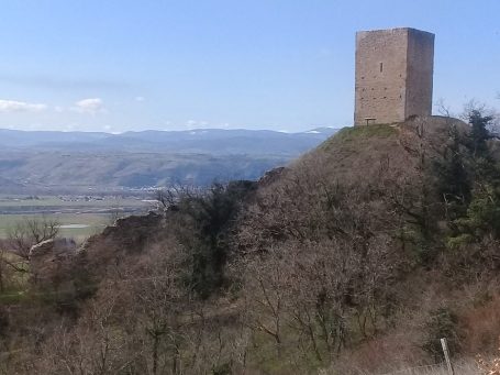 Tour d'Albon, Berceau du Dauphiné