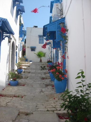 Ruelle typique de Sidi Bou Saïd