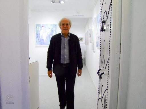 Ridha Souabni, Fondateur-Dirigeant de Galerie Saladin à Sidi Bou Saïd