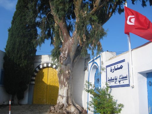 Portes du Phare de Sidi Bou Saïd, Tunisie