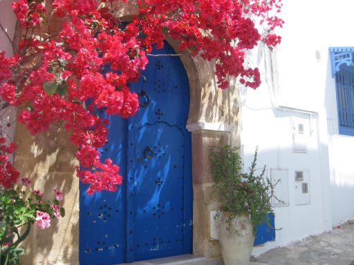 Le fameux bougainvilliers de Sidi Bou Saïd