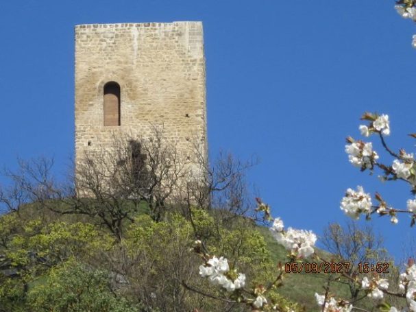 Tour d'Albon dans la Drôme, berceau du Dauphiné